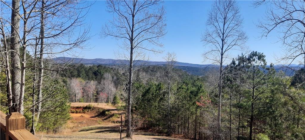 1251 Bar T Ranch Road, Talking Rock, Georgia image 3