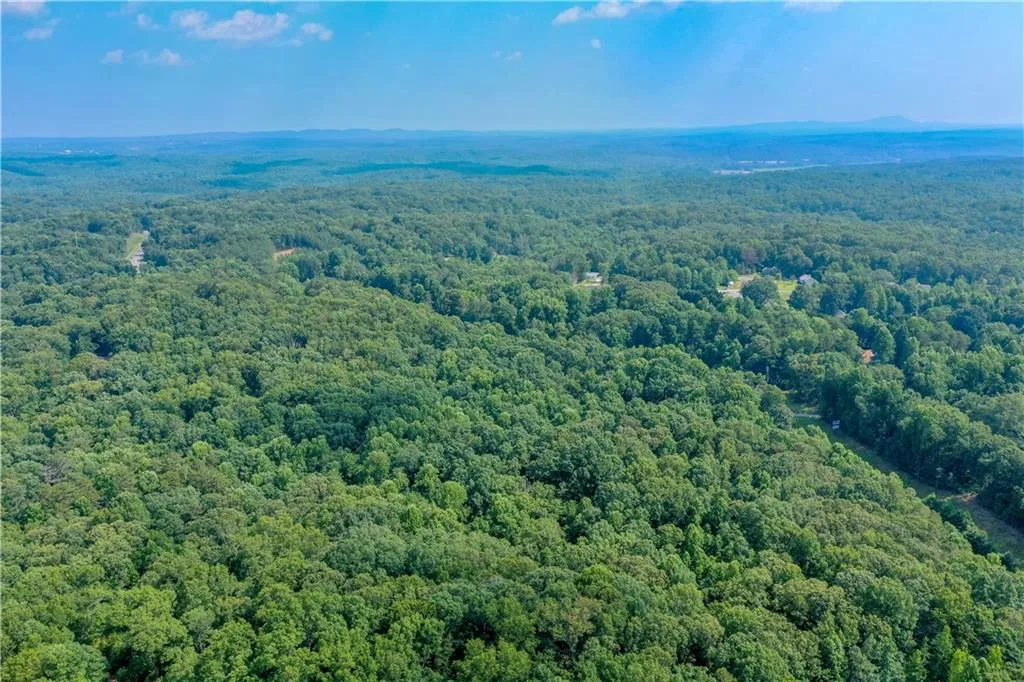 Dawsonville, Georgia 30534, United States, ,Land,Active,36661