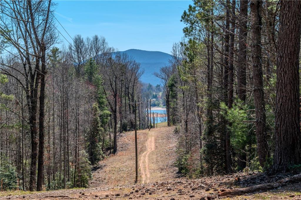 7.07AC Eastridge Court, Blairsville, Georgia image 1