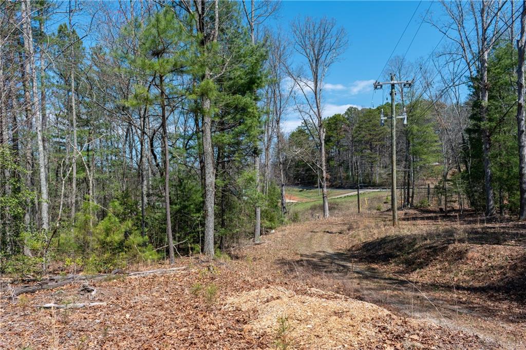 7.07AC Eastridge Court, Blairsville, Georgia image 7