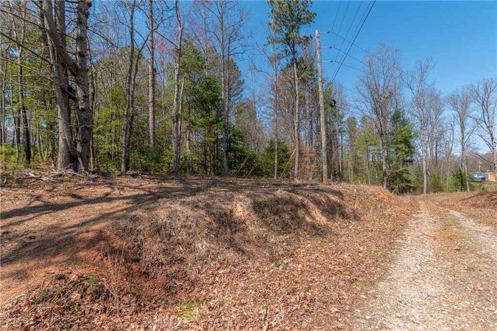 7.07AC Eastridge Court, Blairsville, Georgia image 30