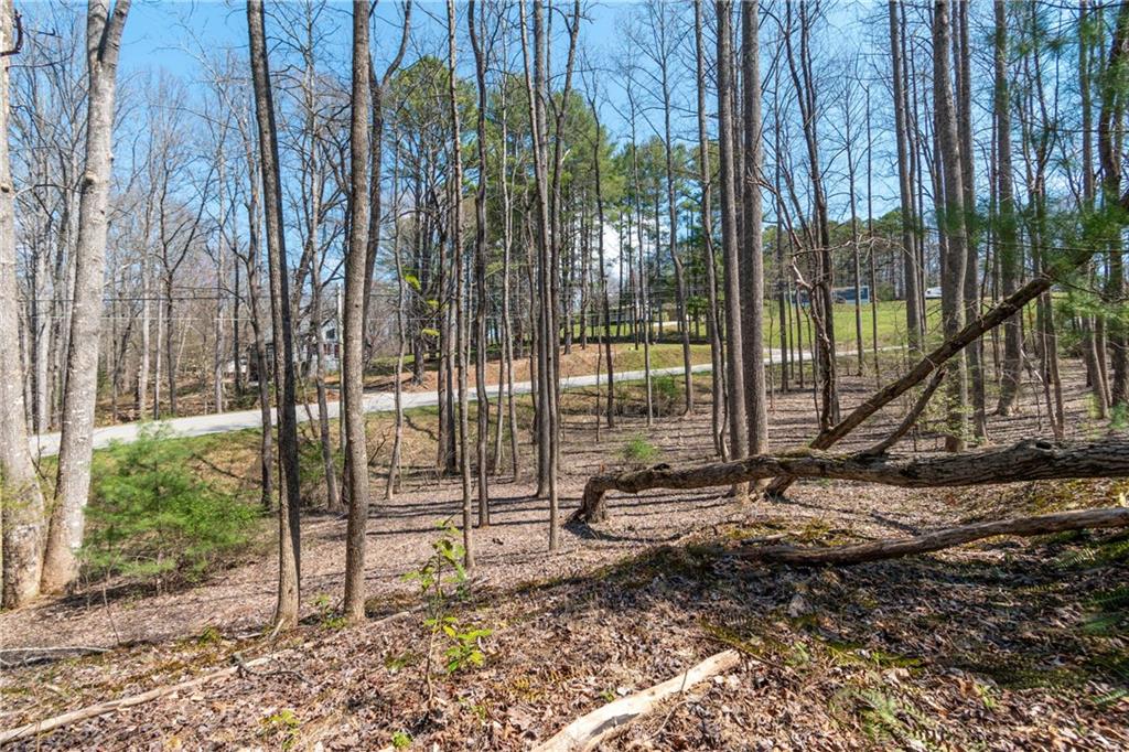7.07AC Eastridge Court, Blairsville, Georgia image 16