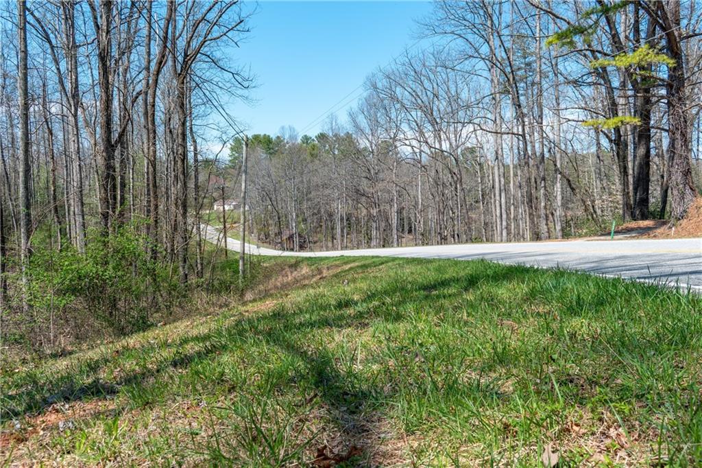 7.07AC Eastridge Court, Blairsville, Georgia image 33