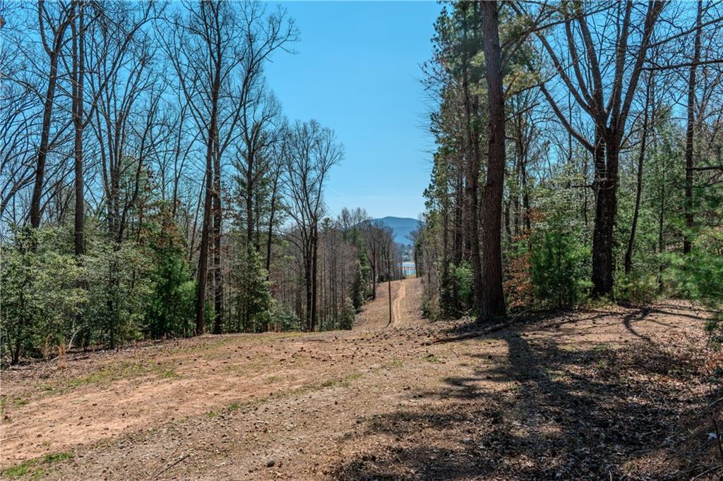 7.07AC Eastridge Court, Blairsville, Georgia image 5