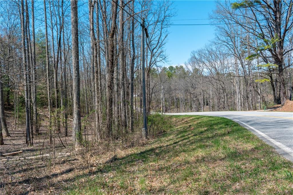 7.07AC Eastridge Court, Blairsville, Georgia image 9