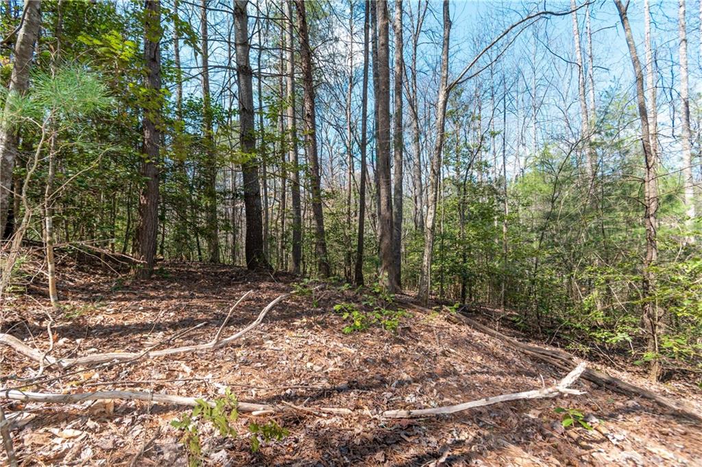 7.07AC Eastridge Court, Blairsville, Georgia image 20
