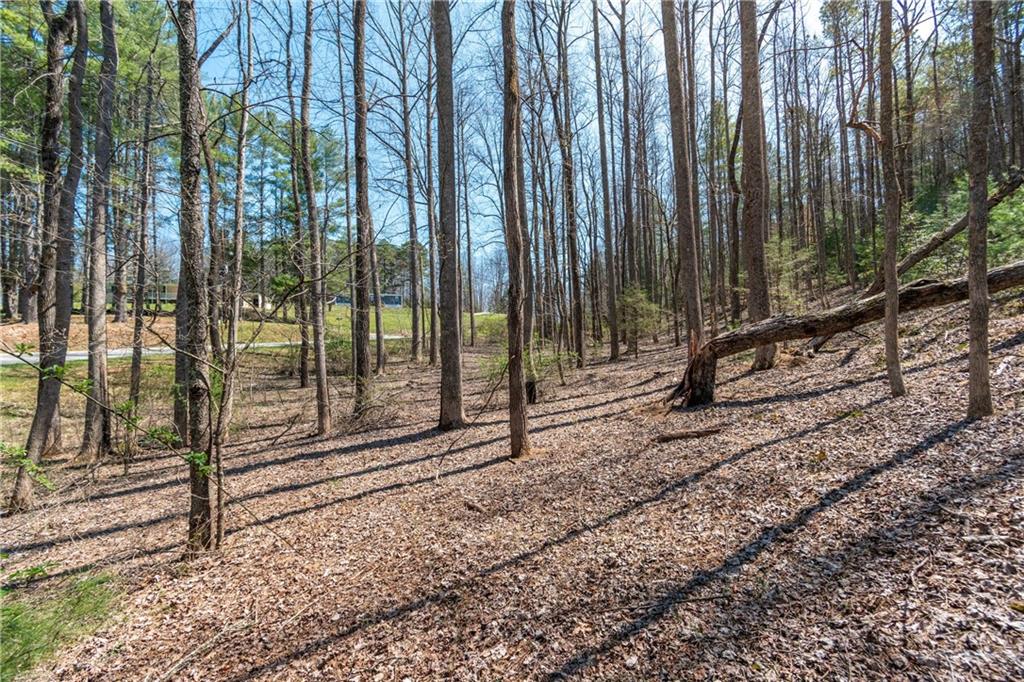 7.07AC Eastridge Court, Blairsville, Georgia image 43