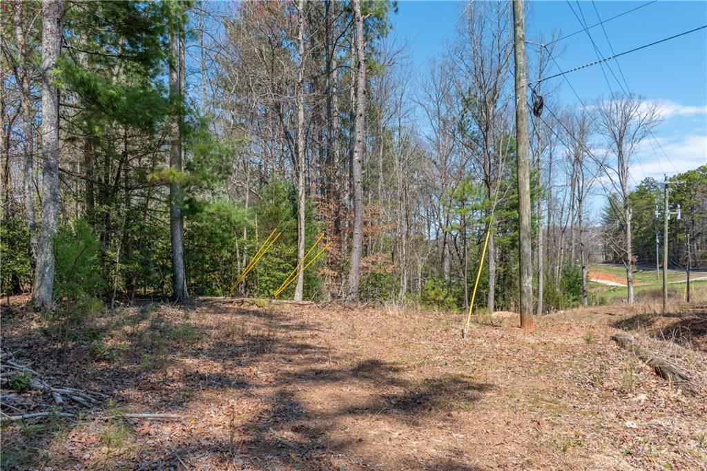 7.07AC Eastridge Court, Blairsville, Georgia image 8