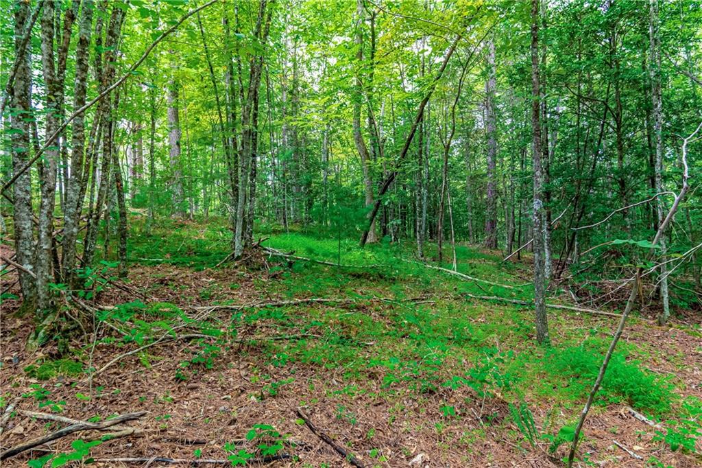 7.07AC Eastridge Court, Blairsville, Georgia image 39