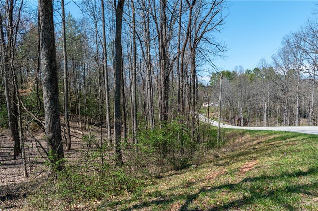 7.07AC Eastridge Court, Blairsville, Georgia image 17