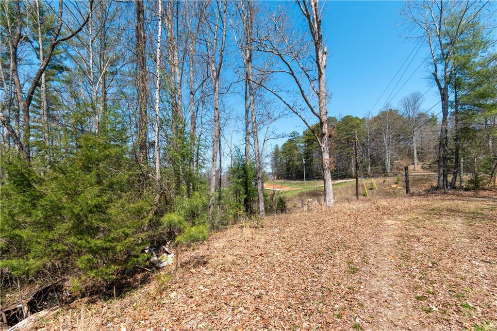 7.07AC Eastridge Court, Blairsville, Georgia image 29