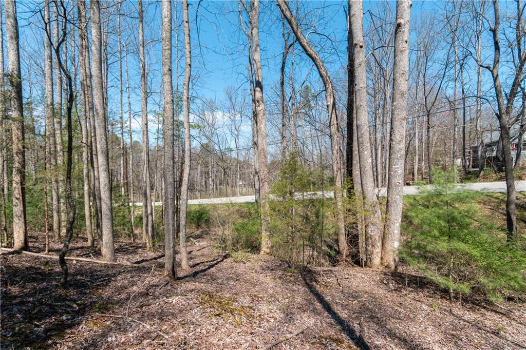 7.07AC Eastridge Court, Blairsville, Georgia image 14