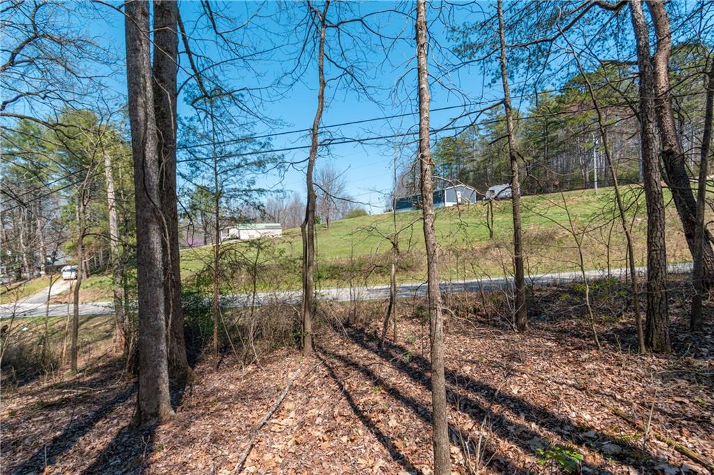 7.07AC Eastridge Court, Blairsville, Georgia image 28