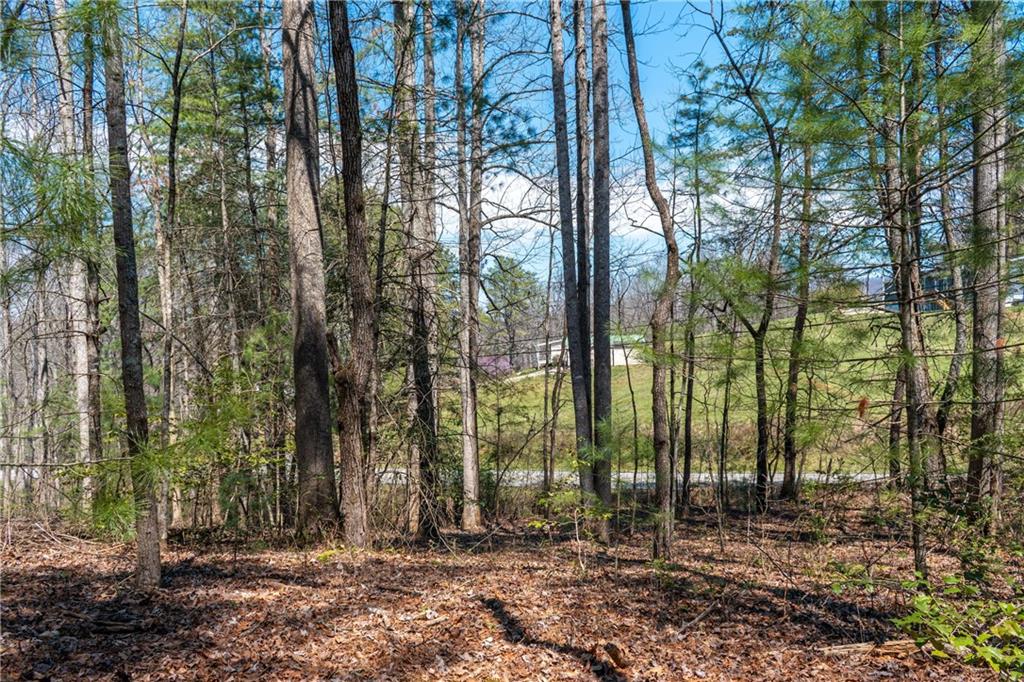 7.07AC Eastridge Court, Blairsville, Georgia image 31