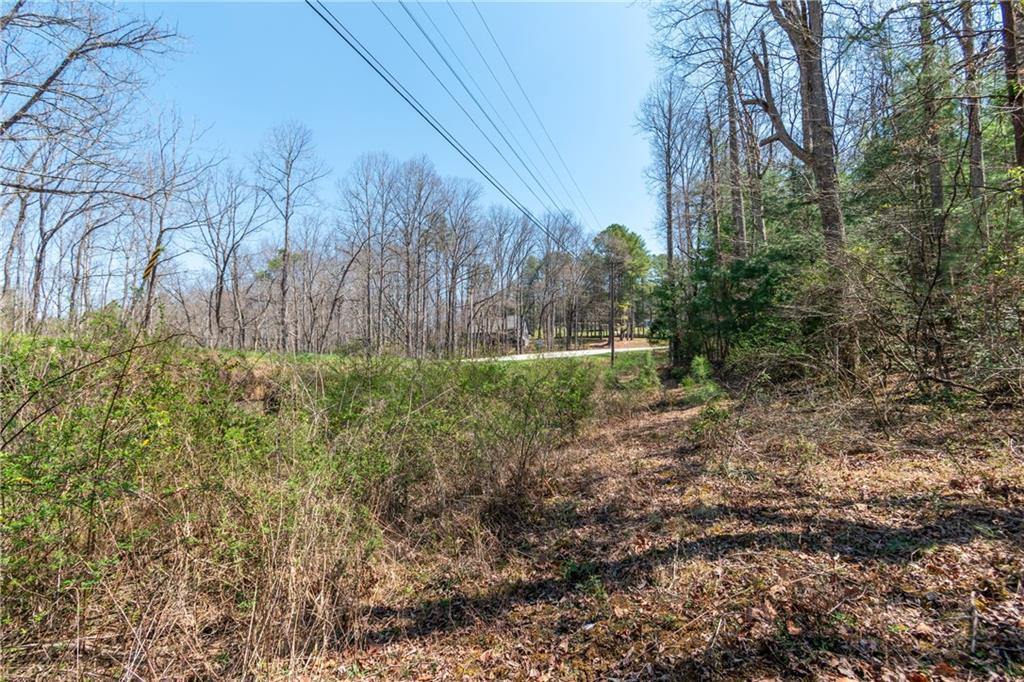 7.07AC Eastridge Court, Blairsville, Georgia image 24
