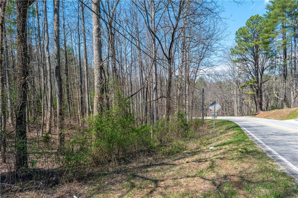 7.07AC Eastridge Court, Blairsville, Georgia image 15