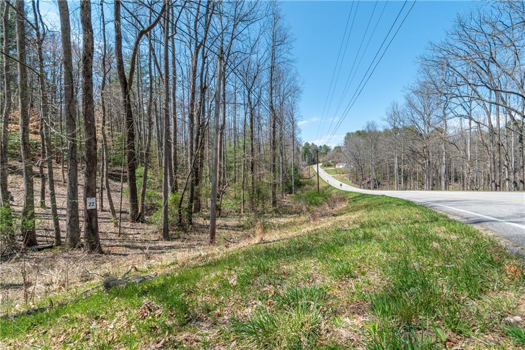 7.07AC Eastridge Court, Blairsville, Georgia image 18