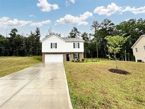 Homes For Sale - 238 Brookwood Crossing<br/> Douglasville, GA 30134