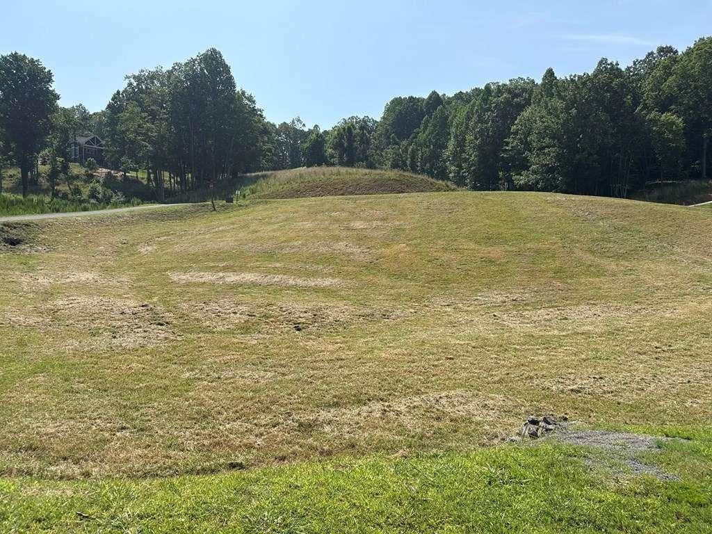 LOT 29 Big Valley Overlook