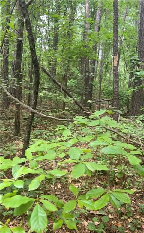 Vacant Land For Sale - Ga-142<br/> Newborn, GA 30056