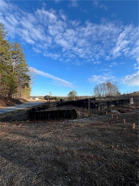 Coots Lake Road, Rockmart, Georgia image 9