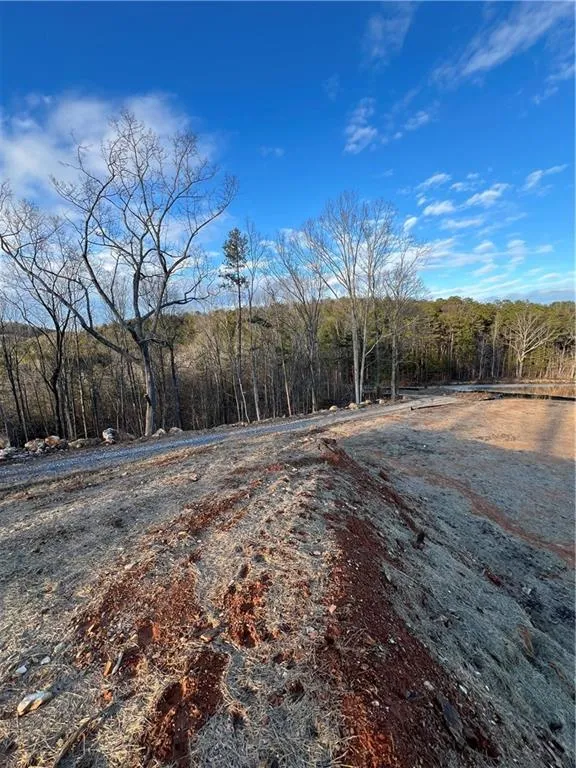 Rockmart, Georgia 30153, United States, ,Land,Active,27668