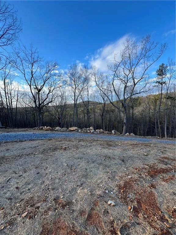 Rockmart, Georgia 30153, United States, ,Land,Active,27668