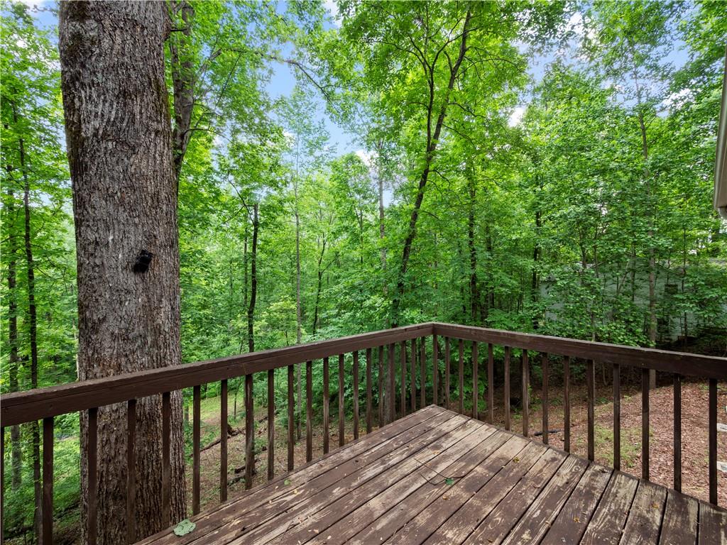 307 Robertson Road, Dawsonville, Georgia image 24