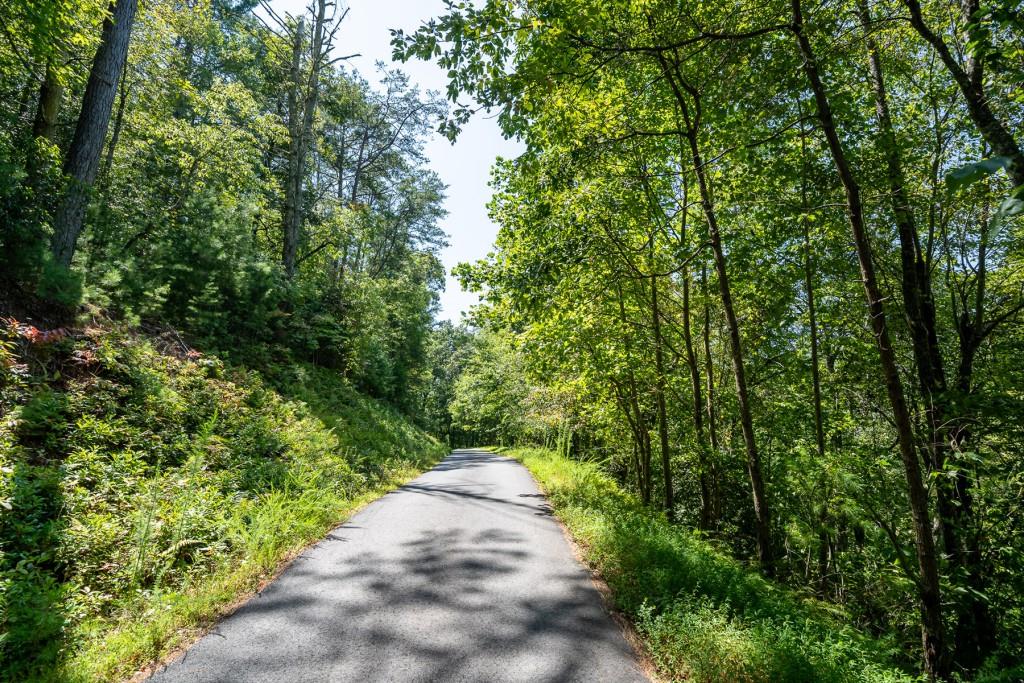 Hogback Drive, Blue Ridge, Georgia image 16