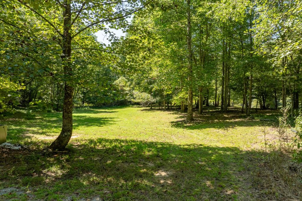 Hogback Drive, Blue Ridge, Georgia image 5