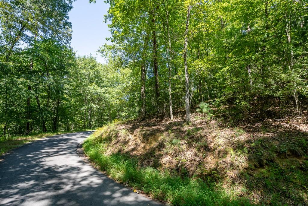 Hogback Drive, Blue Ridge, Georgia image 18