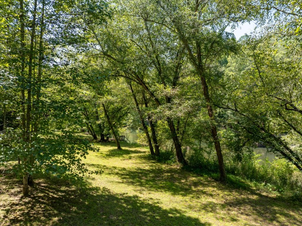 Hogback Drive, Blue Ridge, Georgia image 15