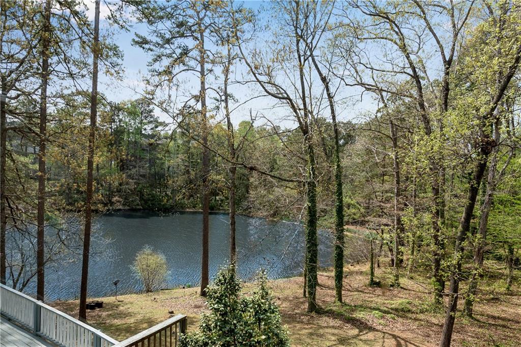 9055 Carroll Manor Drive, Sandy Springs, Georgia image 27