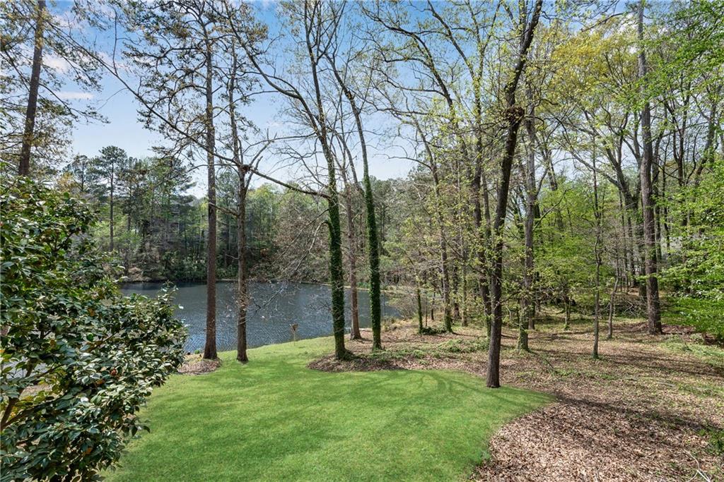 9055 Carroll Manor Drive, Sandy Springs, Georgia image 25