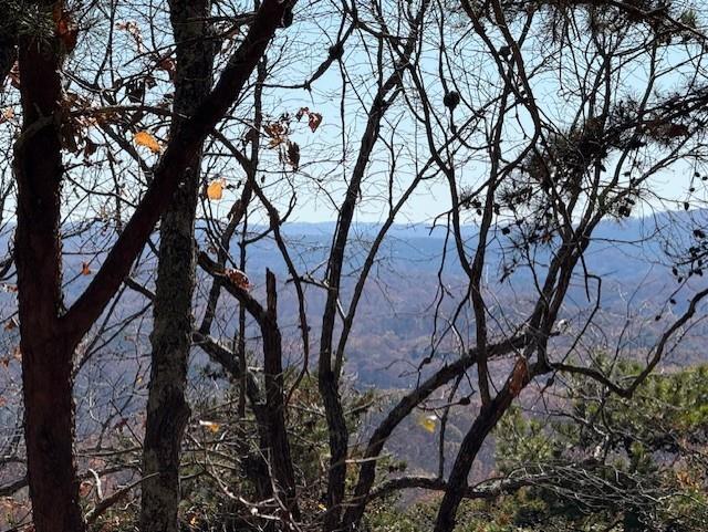 0 John Call Rd - 181.51ac