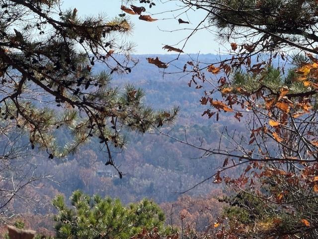 0 John Call Rd - 181.51ac