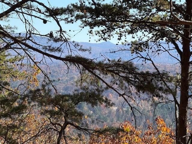 0 John Call Rd - 181.51ac