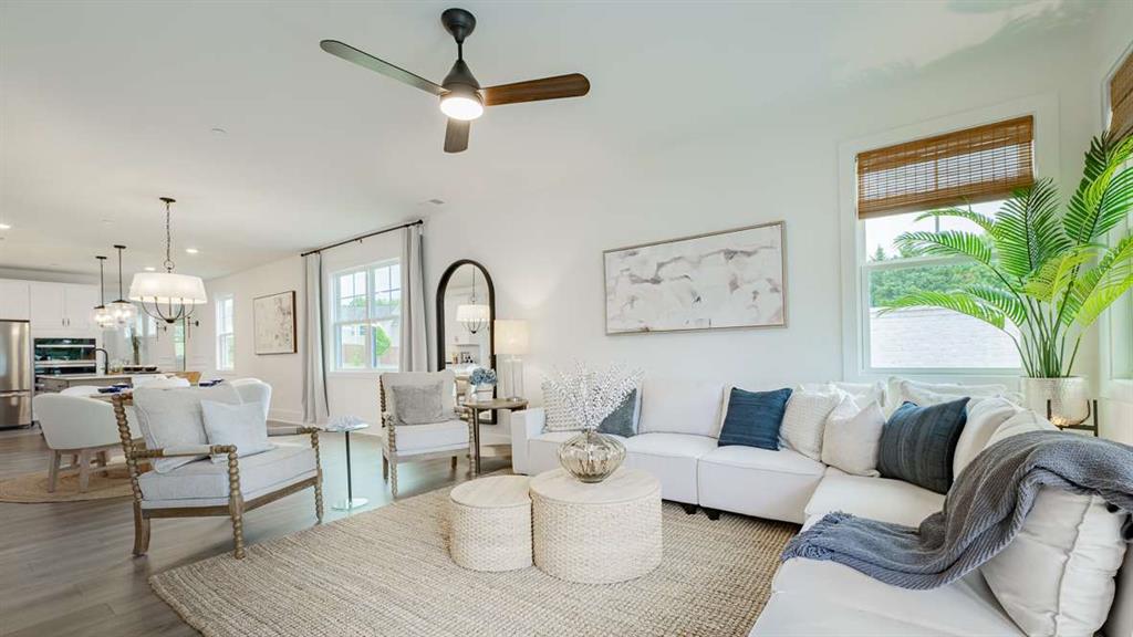 The Village at Sandy Plains - Residential