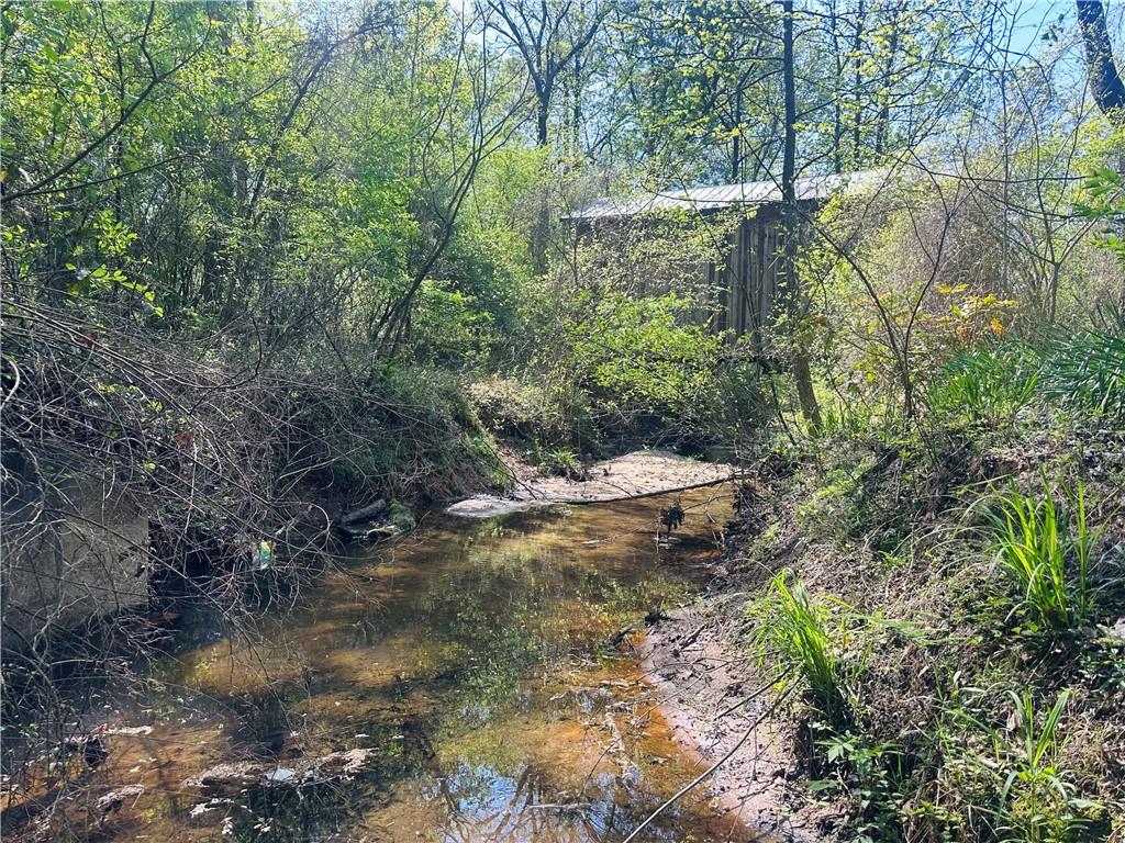 Antioch Road, Lula, Georgia image 6