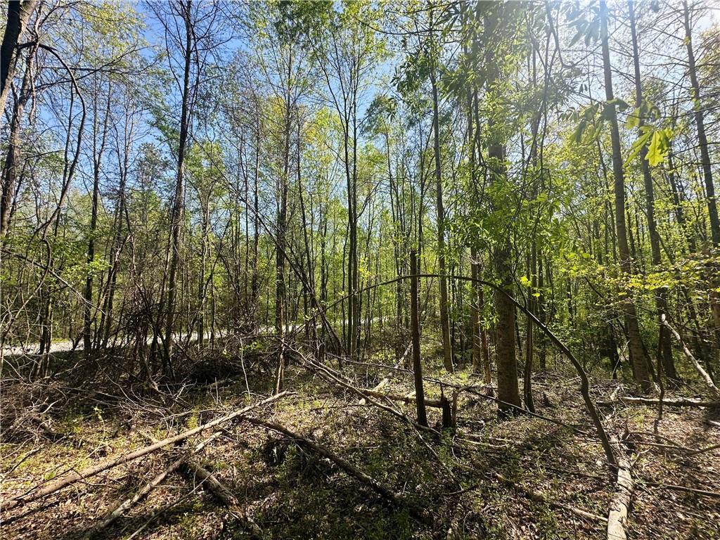 Antioch Road, Lula, Georgia image 2