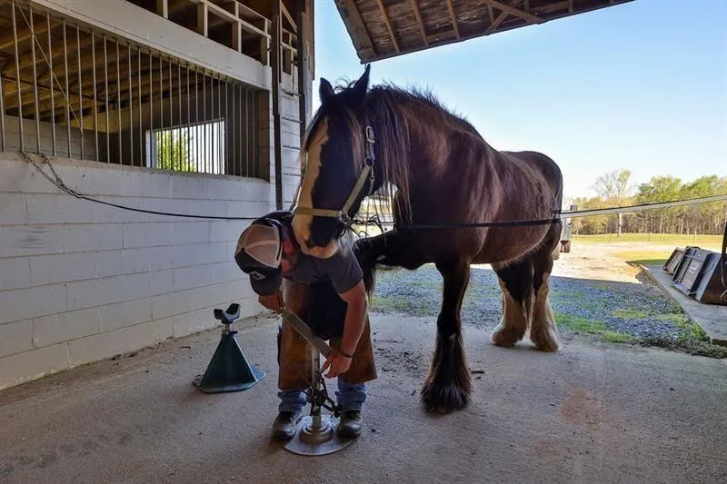 Greenville, Georgia 30222, United States, ,Commercial,Active,61758