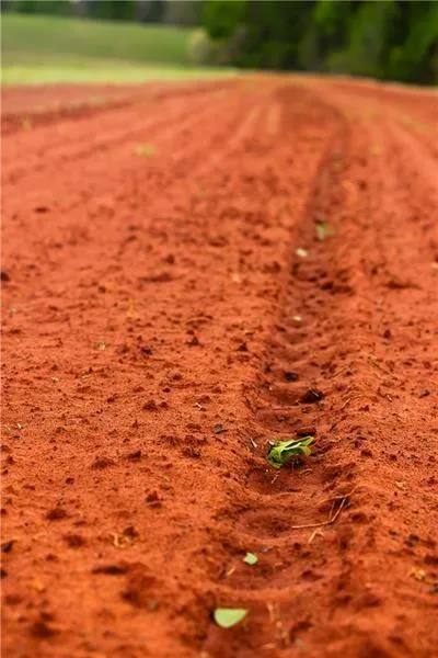 Greenville, Georgia 30222, United States, ,Commercial,Active,61758