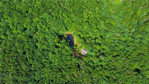 A home in Ellijay