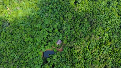 A home in Ellijay