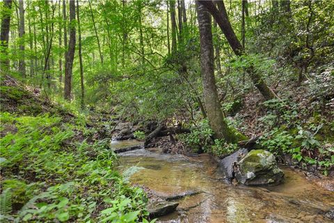 A home in Ellijay