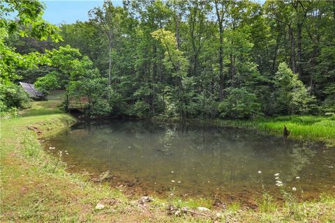 A home in Ellijay