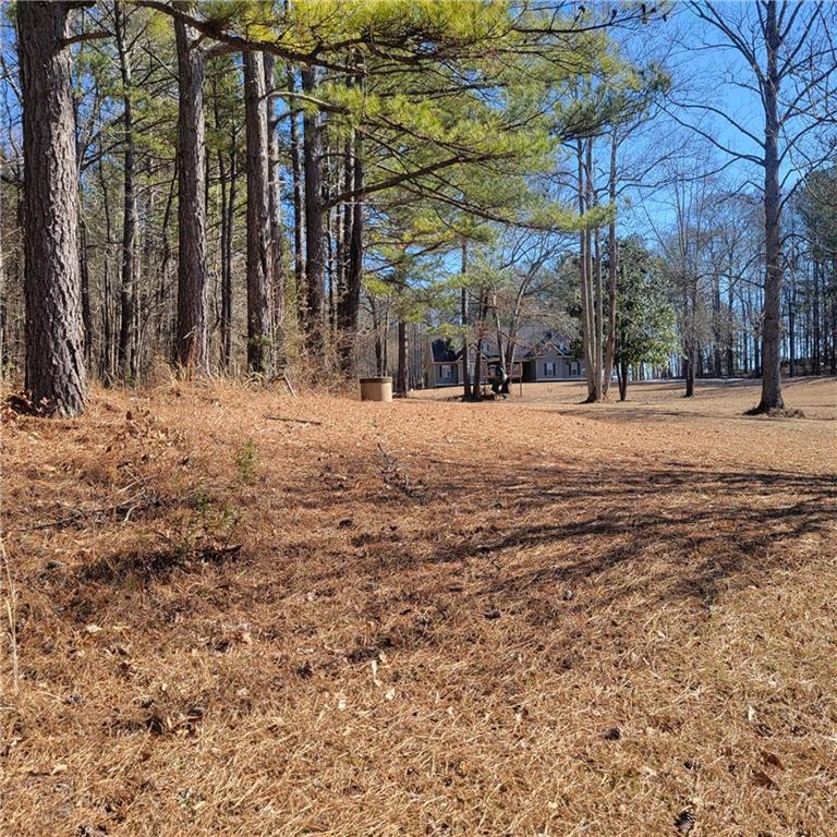00 Bohannon Road, Grantville, Georgia image 10