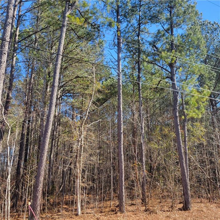 00 Bohannon Road, Grantville, Georgia image 7