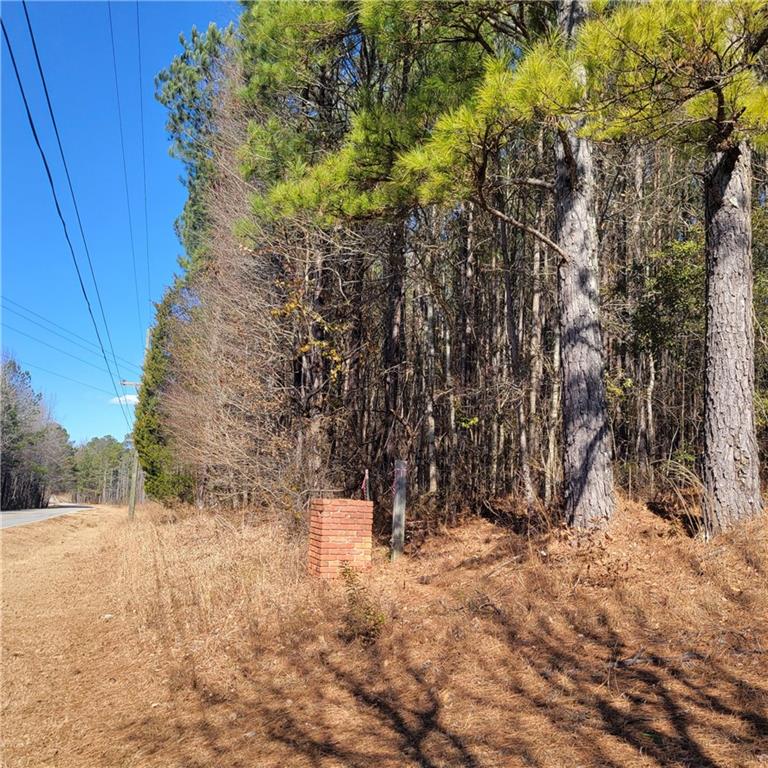 00 Bohannon Road, Grantville, Georgia image 15