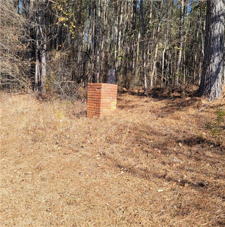00 Bohannon Road, Grantville, Georgia image 3